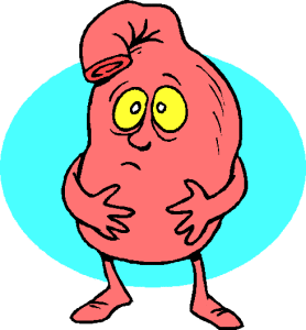 mixing raw and dry dog food can result in an upset gut as the this cartoon pic of an upset stomach protrays