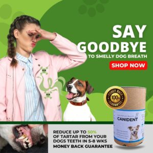 Lack of dietary abrasion is a problem for many dry AND raw fed pets today. Tartar is not just about bad breath. It's a constant, low-grade infection of the mouth that is to be avoided at all costs. For those that don't / can't feed raw meaty bones, we strong recommend Canident. It's a simple, natural and deeply nutritious daily addition to your dogs diet that will remove tartar from their teeth in 5-8wks or your money back!