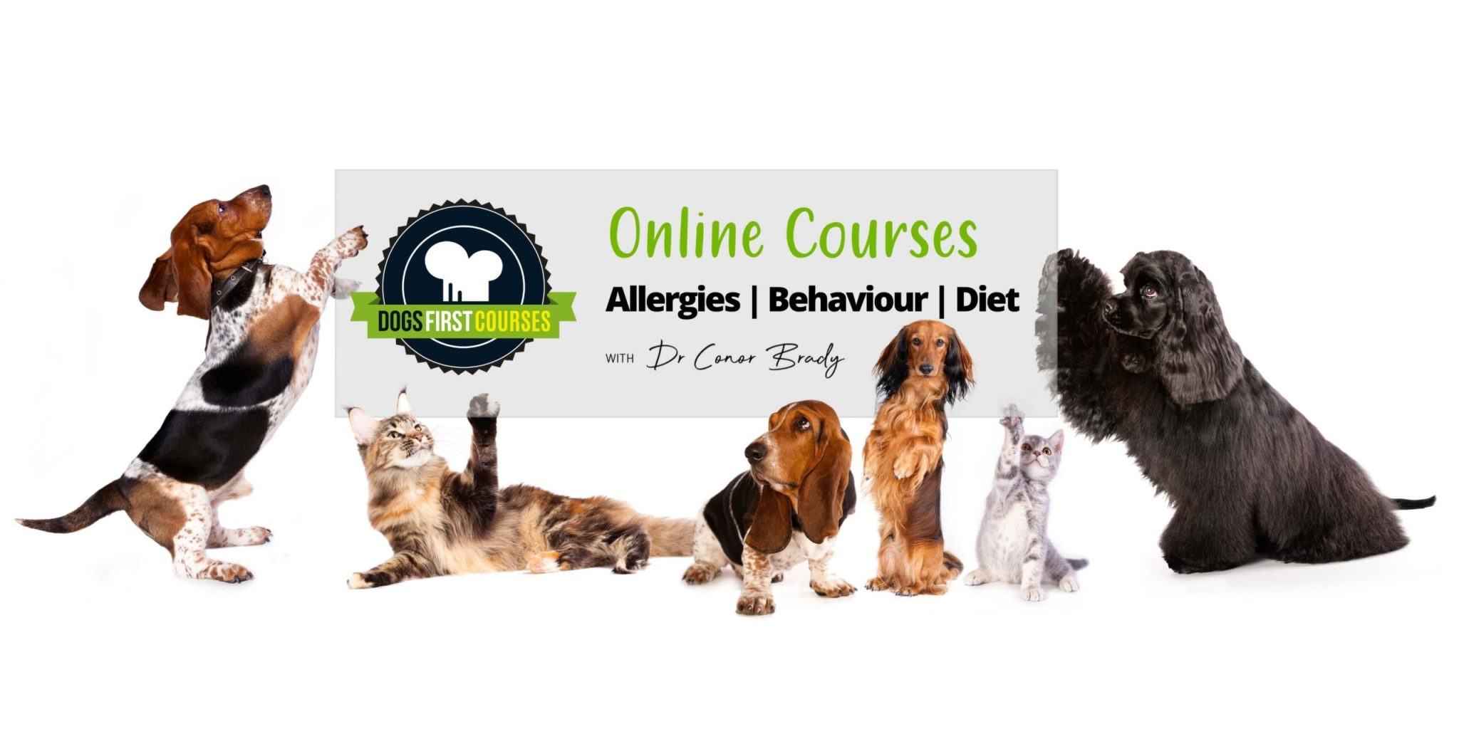 Canine Allergy Banner Allergies Behaviour Diet scaled