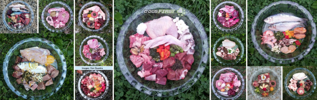 Beautiful images of bowls of raw dog food