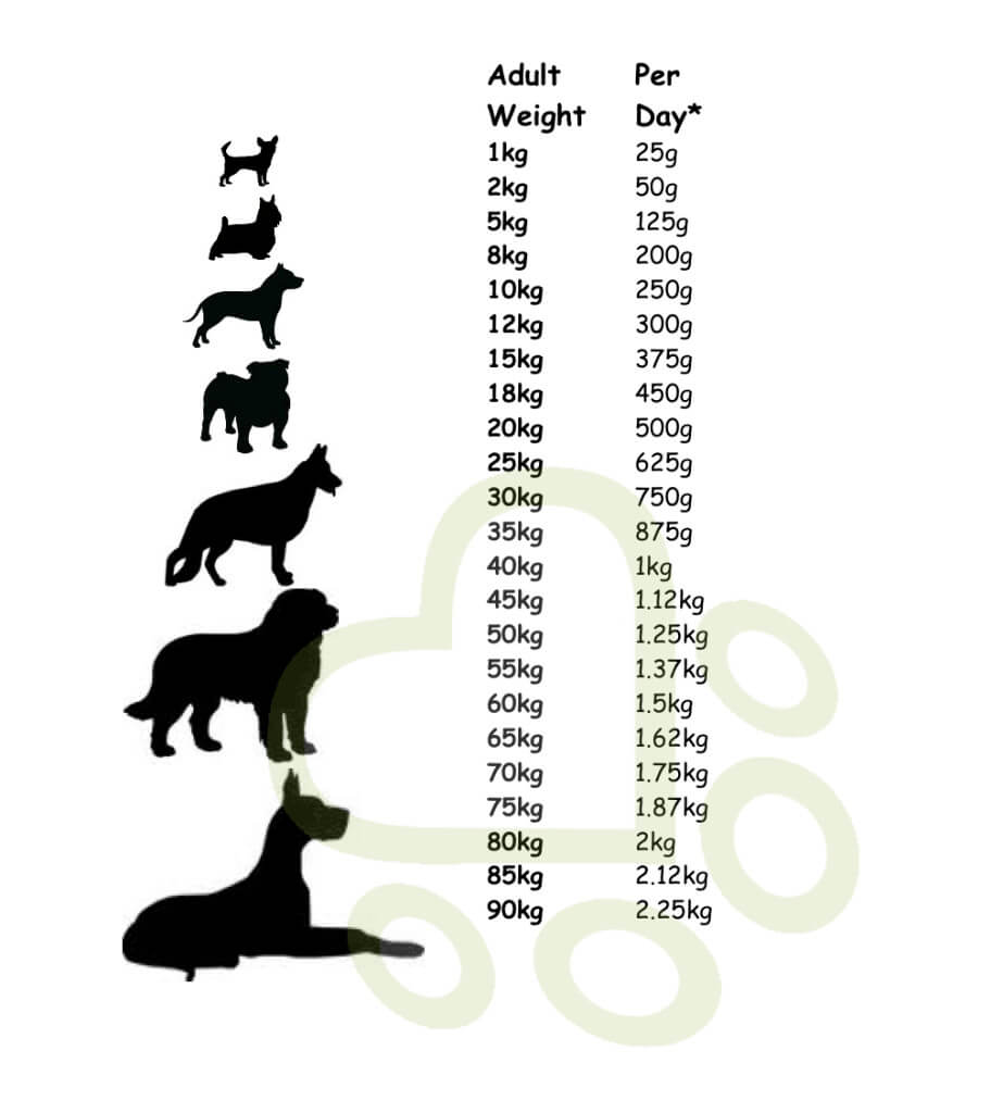 a table showing people how much food I should feed my dog