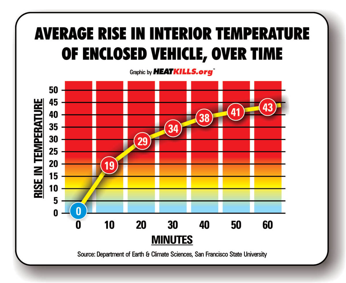 dogs die in hot cars