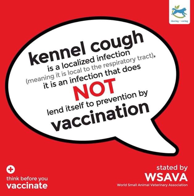 kennel cough in dogs does not work
