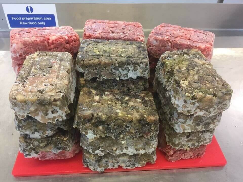 cheap raw dog food