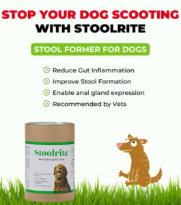 StoolRite is a unique, natural solution for the resolution of anal gland issues in dogs. It works to improve stool quality while at the same time reducing inflammation in the gastro intestinal tract, essentially putting out the fire that lead to your dogs issues in the first place.
