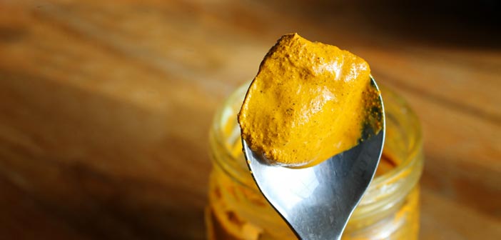 Golden turmeric paste is vital in every itchy dog home remedy