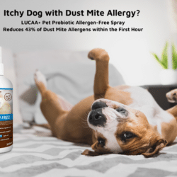 Probiotic Ear Care for Dogs & Cats - 100ml