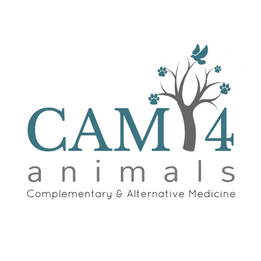 cam4animals