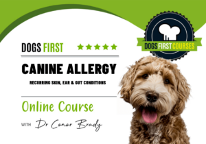 Canine allergy course1