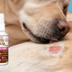 Dermo-and-Allergen-Free-New-1