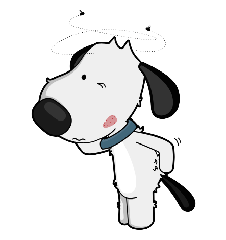 Itchy dog DF dog