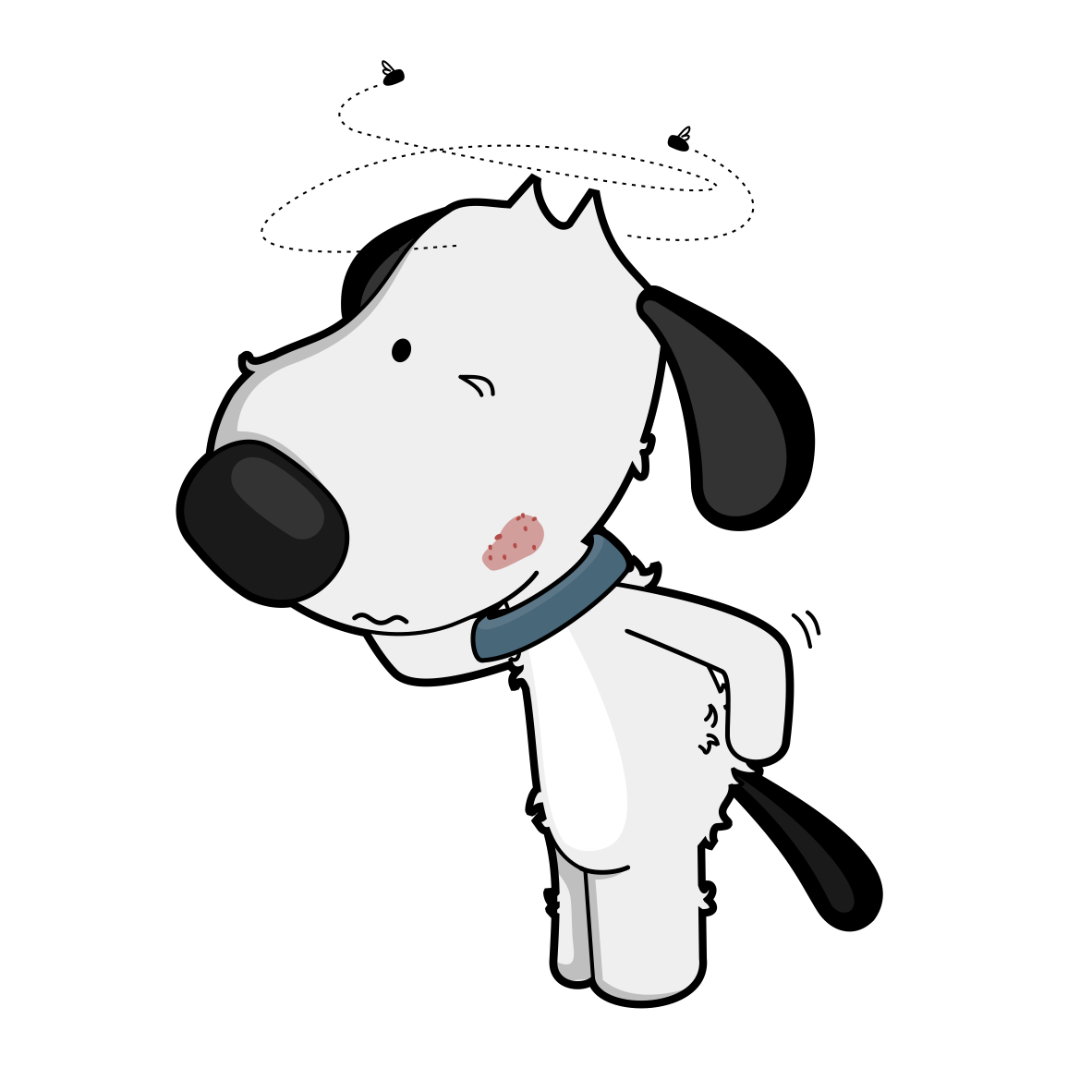 itchy dog