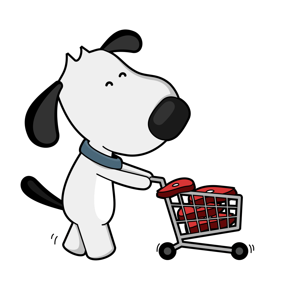 raw dog food guide
