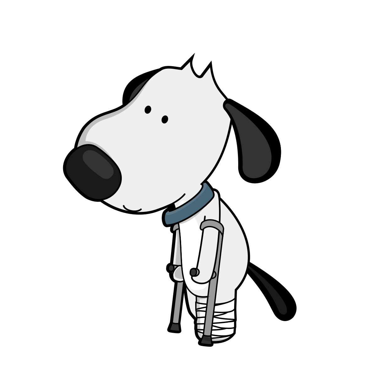 Torn acl in dogs
