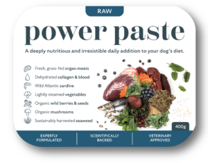 PowerPaste Raw Shadow noBackground