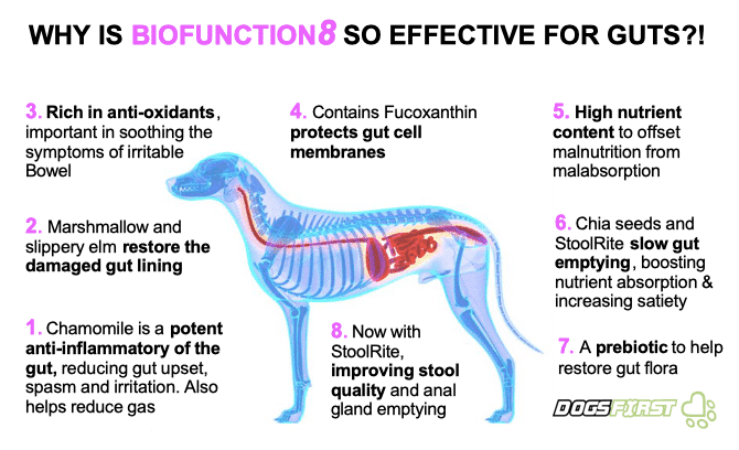 BioFunction8 | Gut Soother Blend