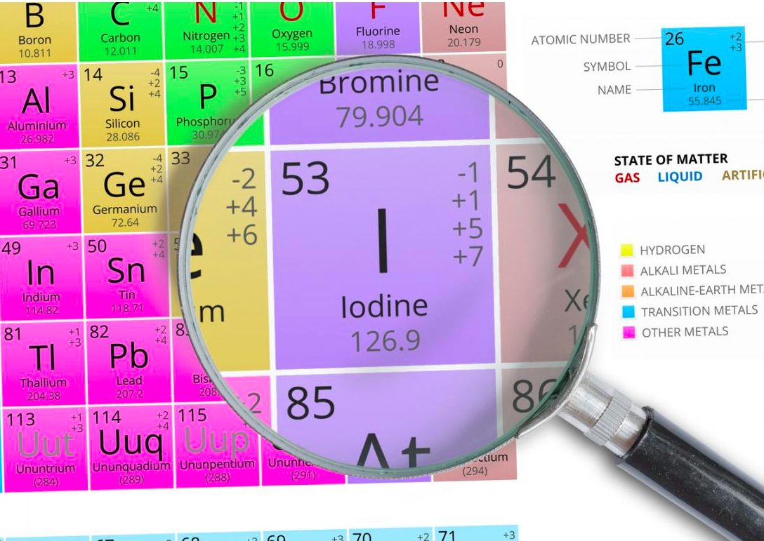 iodine for dogs