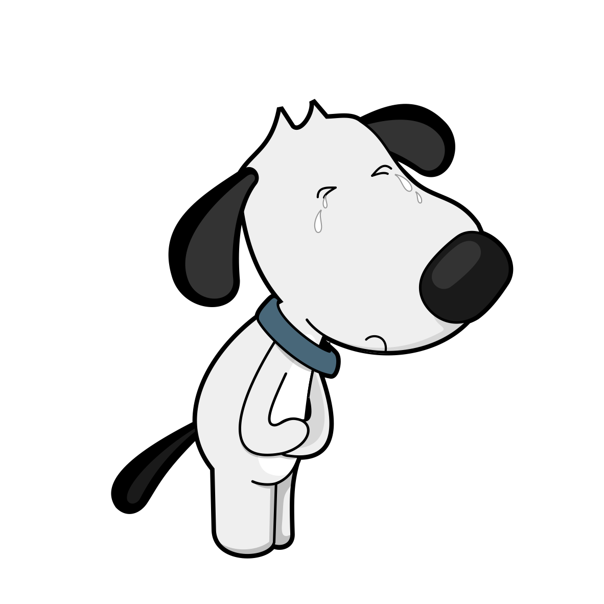 df dog