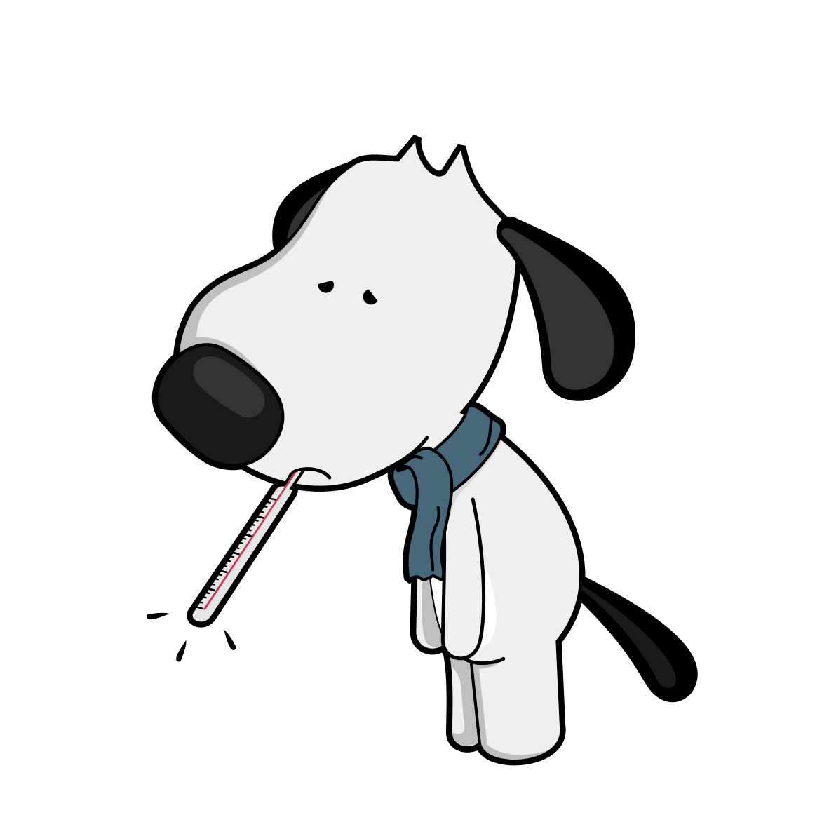 df dog