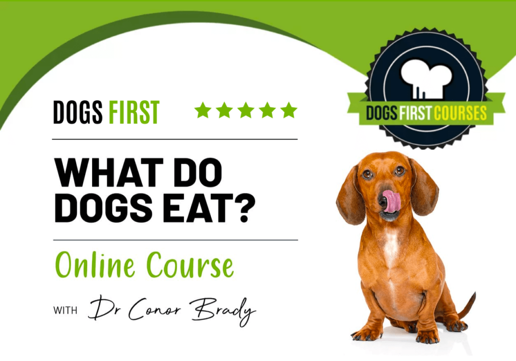 This course explains what dogs eat by analysing their evolution, biology and diet studies.